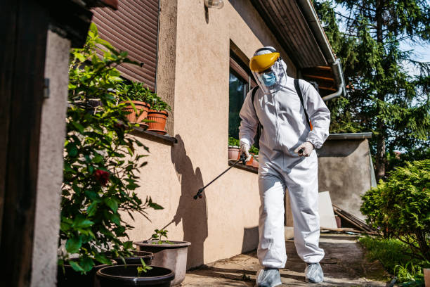 Professional Pest Control in Quincy, WA